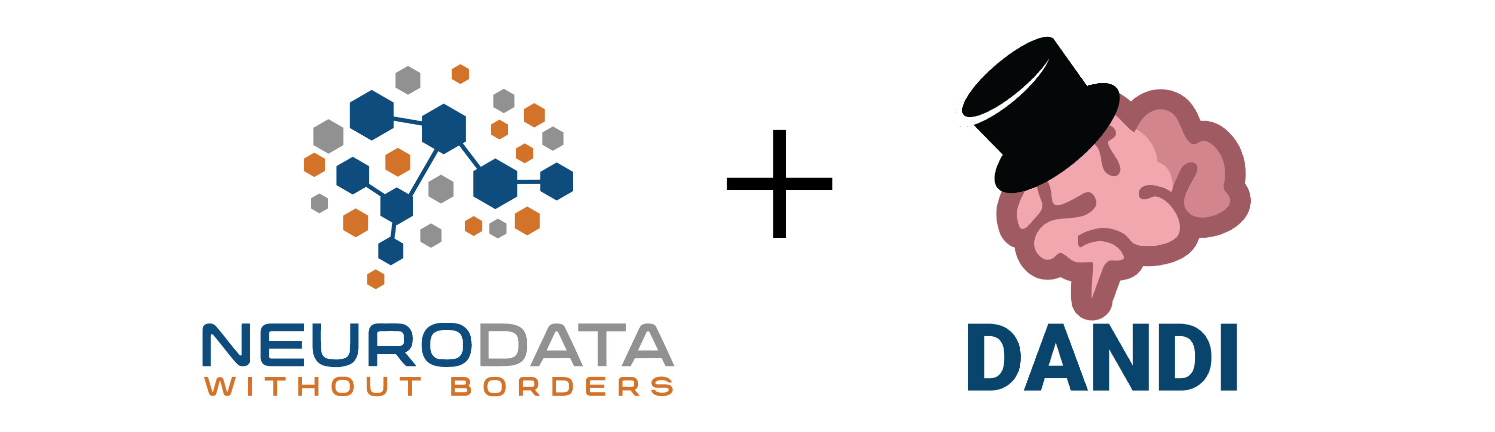 NWB & DANDI Tutorial at COSYNE 2026